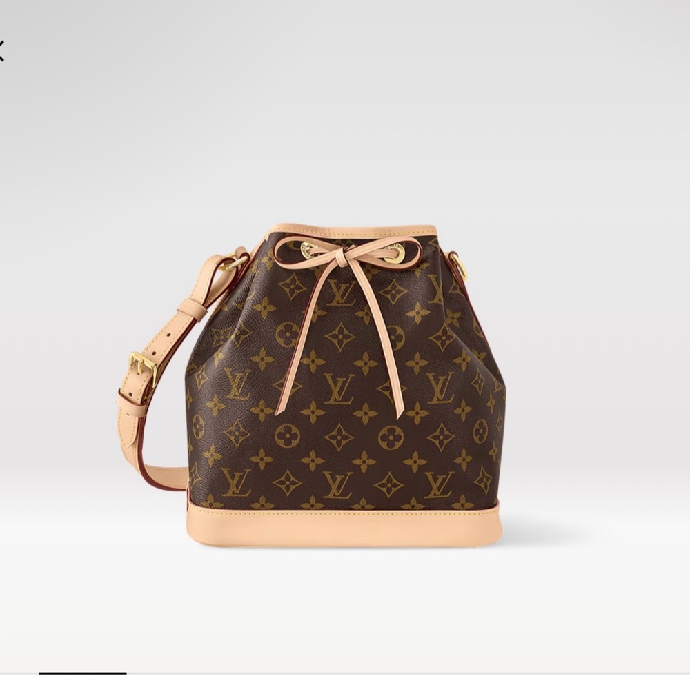 Louis Vuitton Brown Monogram Bucket Bag